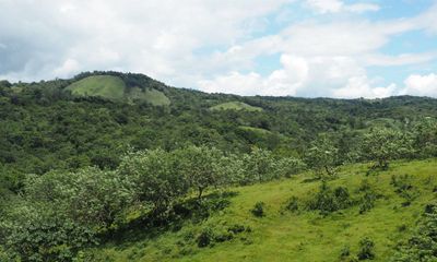 g13/55/529055/3/175083098.d773fb62.JPEG