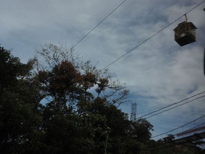 g13/55/529055/3/175101376.677ff2eb.JPEG