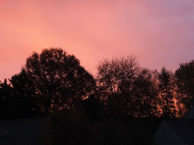 Winter morning