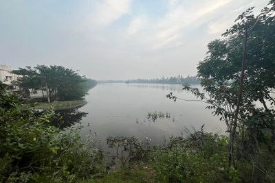 g13/55/529055/3/175157327.9b43786c.JPEG