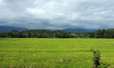 g13/55/529055/3/175166805.61b76c35.JPEG