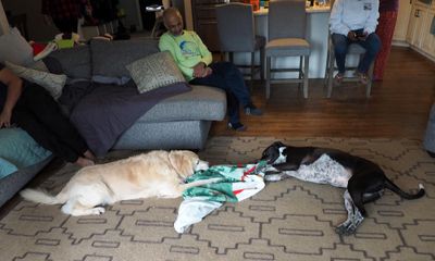 g13/55/529055/3/175173358.9540e338.JPEG