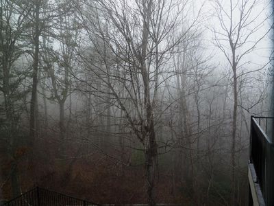 g13/55/529055/3/175182113.9d644249.JPEG