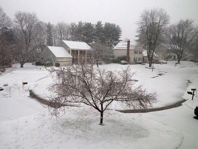 Snow falling in our neighborhood