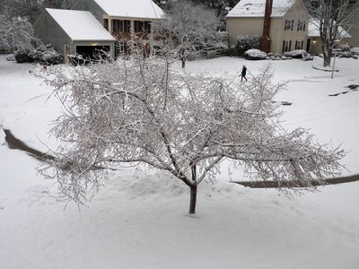After the snowfall