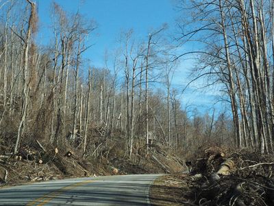 Hurricane damage in the mountains