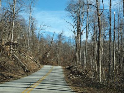 Hurricane damage in the mountains
