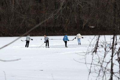 The frozen pond, a rare sight