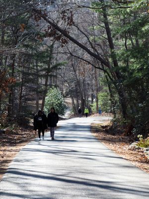 The long and winding road from the bottom of the hill