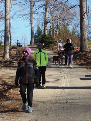 On a walk