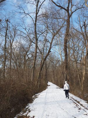 On the trail