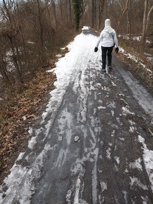 Walking on the ice
