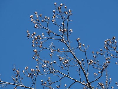 Blue skies outside the house