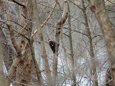 Feb 2nd - Near Sycamore Landing