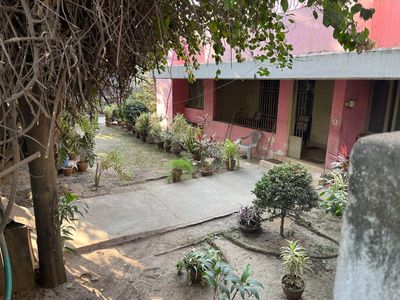 Pathway between the houses cleared of vegetation