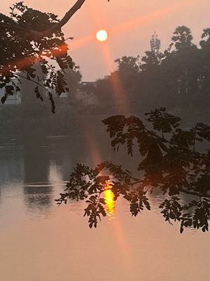 Early morning at the lake