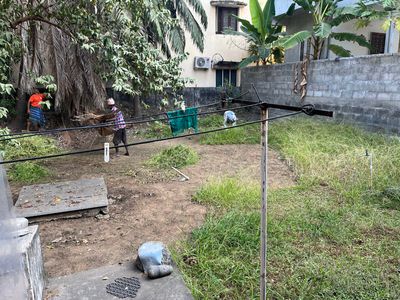 Removing the grass