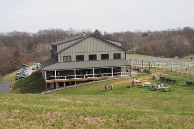 Three Foxes Vineyard and Brewery