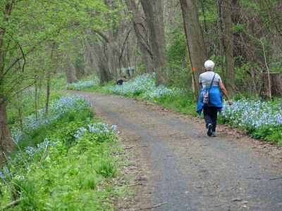 Spring time on the trail