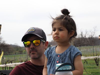 At the Vineyard