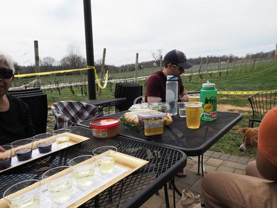 At the Vineyard