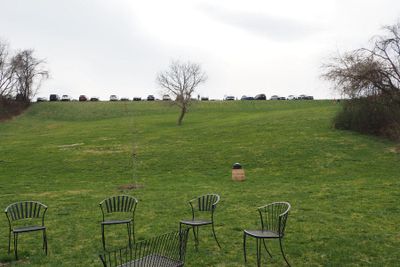 The hillside at the vineyard