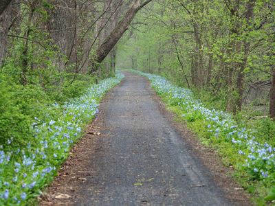 The mile marker