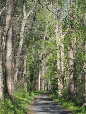 Trail marker