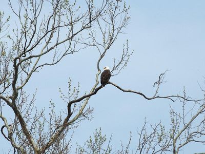 Shenandoah River State Park, Virginia in April 2025