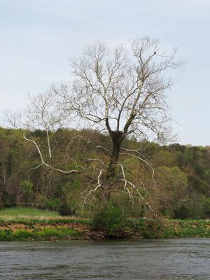 Shenandoah River State Park, Virginia in April 2025