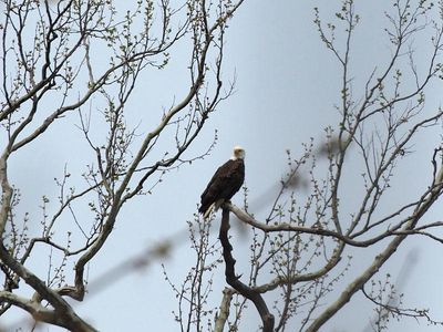 Shenandoah River State Park, Virginia in April 2025