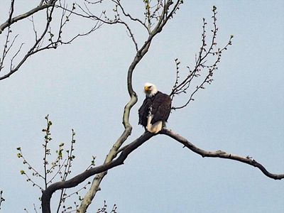 Shenandoah River State Park, Virginia in April 2025