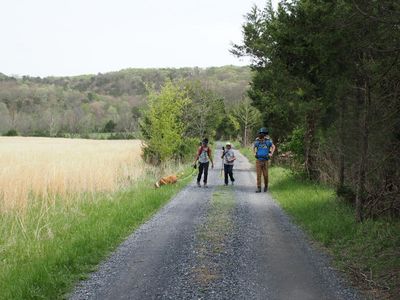 On the Cullers Trail