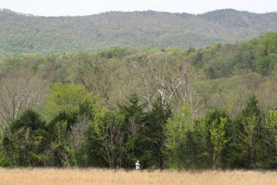 A ridge of the Appalacians