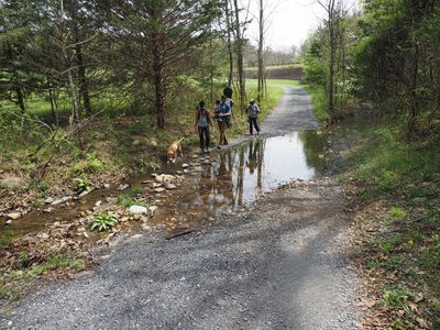 Fording the stream