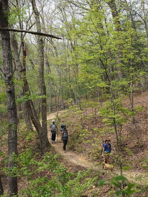 Shenandoah River State Park, Virginia in April 2025