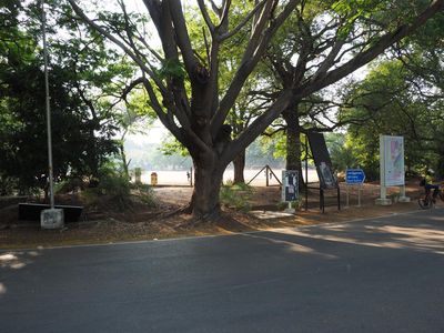 The school grounds