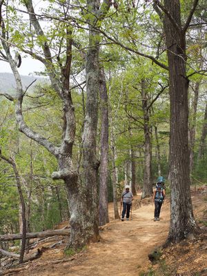 Up the trail