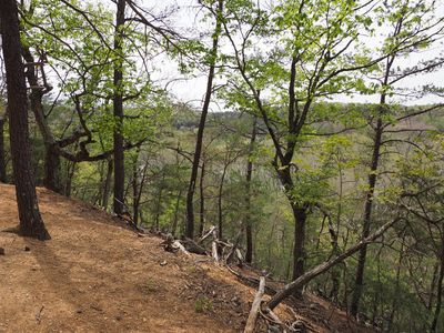 A view from the trail
