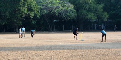 Cricket