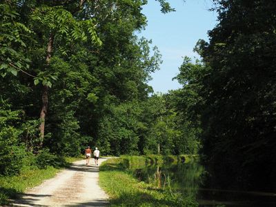 On the hot and sunny trail