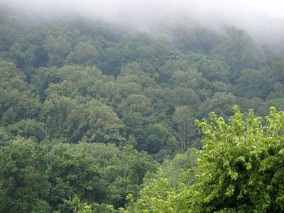 C&O Canal and Nearby Parks in 2025