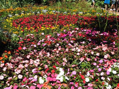 Grand Hotel's garden