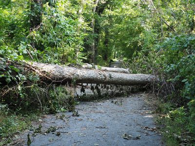 C&O Canal and Nearby Parks in 2025