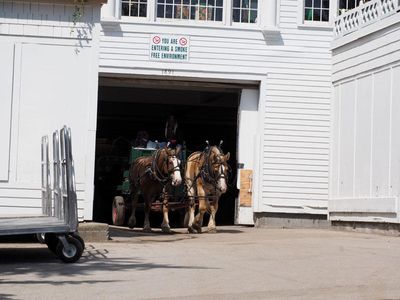 Carriage emerging from the Grand Hotel