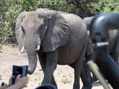 To Chobe National Park in Botswana