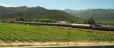 South Africa, Eswatini, Zimbabwe and Botswana in 2025