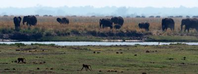 To Chobe National Park in Botswana