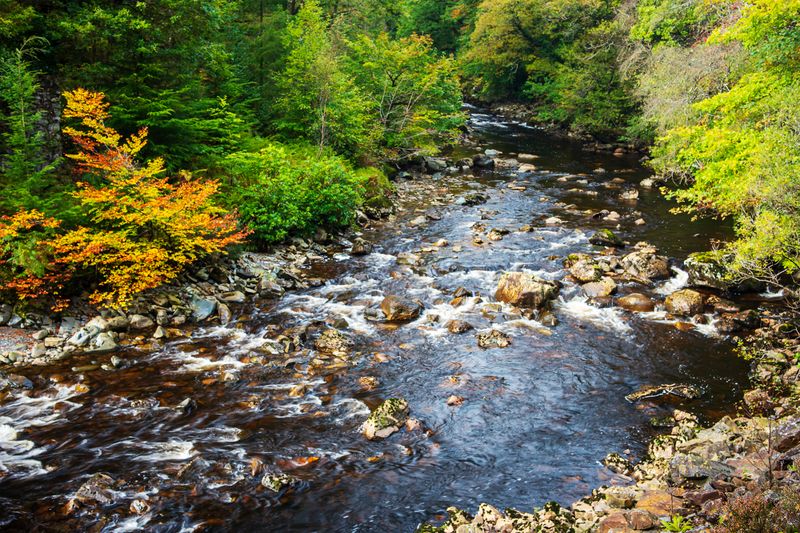 Afon/River Mawddach 