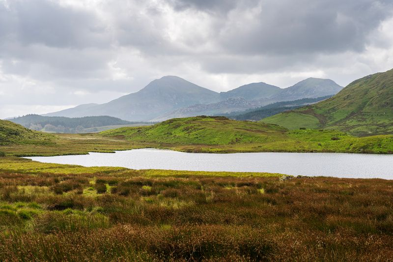 Moel Hebog from Llyn Dywarchen